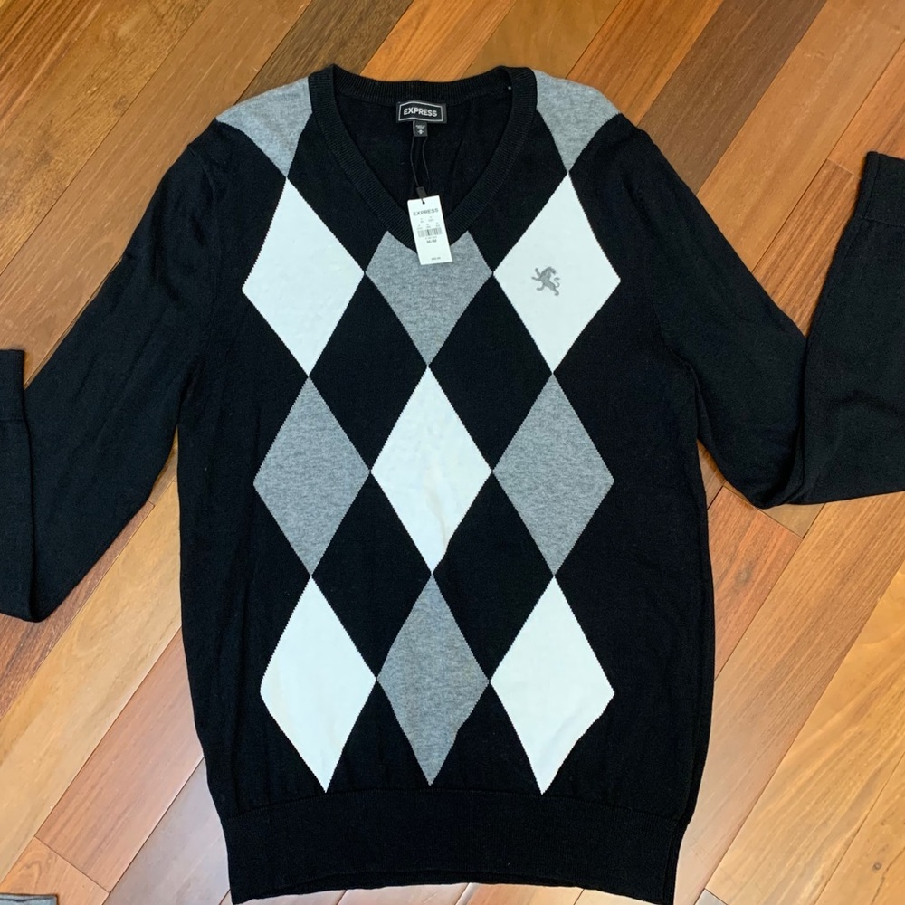 Express V-Neck Sweater